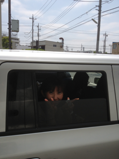image-20130531093346.png